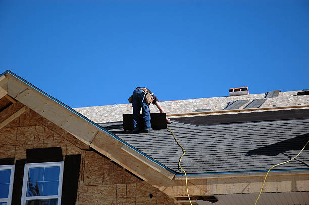 Best Roof Gutter Cleaning  in Vega, TX